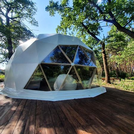 У Дачі Для Своїх Guest House Novyye Bezradichi ภายนอก รูปภาพ